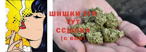 винт Няндома