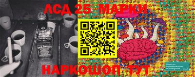 дмт Кимры