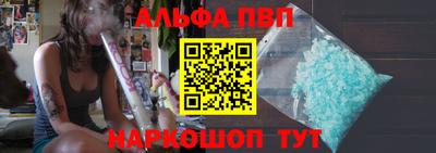 индика Кингисепп
