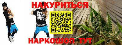 индика Кингисепп