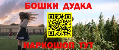 индика Кингисепп