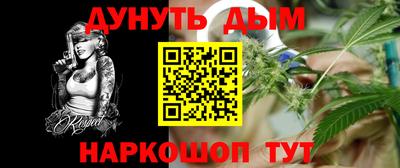 индика Кингисепп