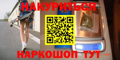 индика Кингисепп