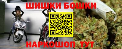 индика Кингисепп