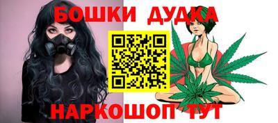 индика Кингисепп