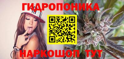 дмт Кимры