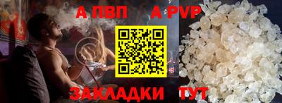 индика Кингисепп