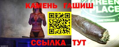 индика Кингисепп
