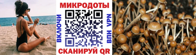 Псилоцибиновые грибы ЛСД  Норильск 