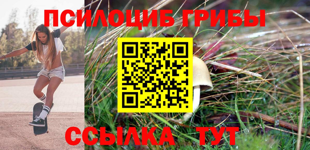 Норильск  Псилоцибиновые грибы Psilocybine cubensis  наркошоп  Вход с VPN 