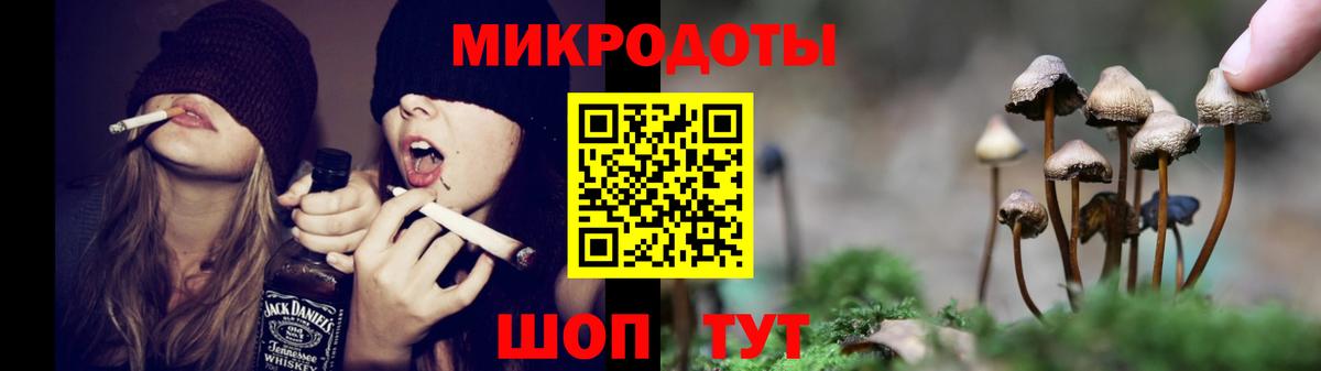 Галлюциногенные грибы мухоморы Норильск